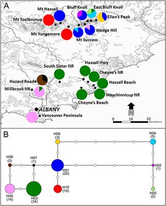 Topographic Complexity Facilitates Persistence Compared to Signals of Contraction and Expansion in the Adjacent Subdued Landscape